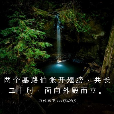Picture 03 - 历 代 志 下 3:13 CUVS - 两 个 基 路 伯 张 开 翅 膀 ， 共 长 - Bible Verse Picture