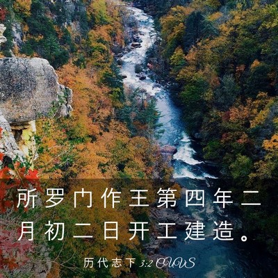 Picture 03 - 历 代 志 下 3:2 CUVS - 所 罗 门 作 王 第 四 年 二 月 初 二 - Bible Verse Picture