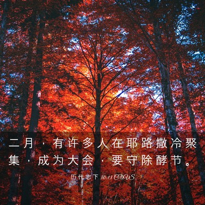 Picture 03 - 历 代 志 下 30:13 CUVS - 二 月 ， 有 许 多 人 在 耶 路 撒 冷 - Bible Verse Picture