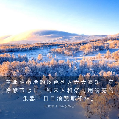 Picture 03 - 历 代 志 下 30:21 CUVS - 在 耶 路 撒 冷 的 以 色 列 人 大 大 - Bible Verse Picture