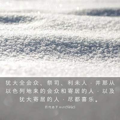 Picture 03 - 历 代 志 下 30:25 CUVS - 犹 大 全 会 众 、 祭 司 、 利 未 人 - Bible Verse Picture