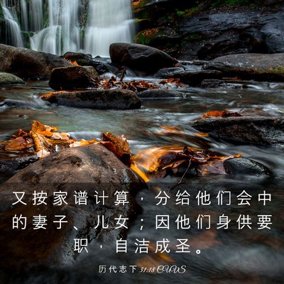Picture 03 - 历 代 志 下 31:18 CUVS - 又 按 家 谱 计 算 ， 分 给 他 们 会 - Bible Verse Picture
