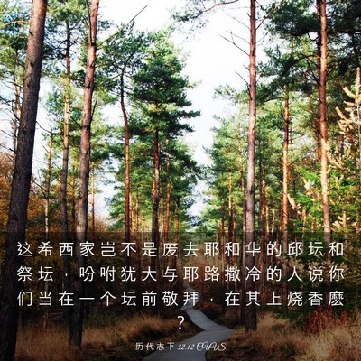 Picture 03 - 历 代 志 下 32:12 CUVS - 这 希 西 家 岂 不 是 废 去 耶 和 华 - Bible Verse Picture