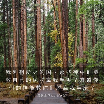 Picture 03 - 历 代 志 下 32:14 CUVS - 我 列 祖 所 灭 的 国 ， 那 些 神 中 - Bible Verse Picture