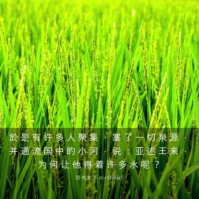 Picture 03 - 历 代 志 下 32:4 CUVS - 於 是 有 许 多 人 聚 集 ， 塞 了 一 - Bible Verse Picture