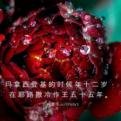 Picture 03 - 历 代 志 下 33:1 CUVS - 玛 拿 西 登 基 的 时 候 年 十 二 岁 - Bible Verse Picture