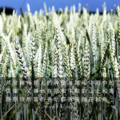 Picture 03 - 历 代 志 下 33:15 CUVS - 并 除 掉 外 邦 人 的 神 像 与 耶 和 - Bible Verse Picture