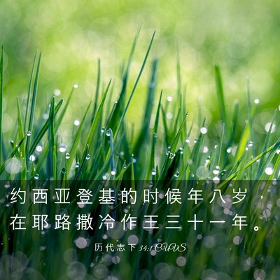 Picture 03 - 历 代 志 下 34:1 CUVS - 约 西 亚 登 基 的 时 候 年 八 岁 ， - Bible Verse Picture