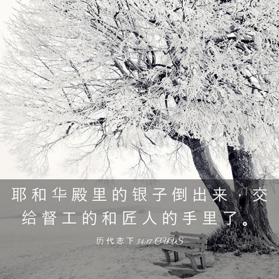 Picture 03 - 历 代 志 下 34:17 CUVS - 耶 和 华 殿 里 的 银 子 倒 出 来 ， - Bible Verse Picture