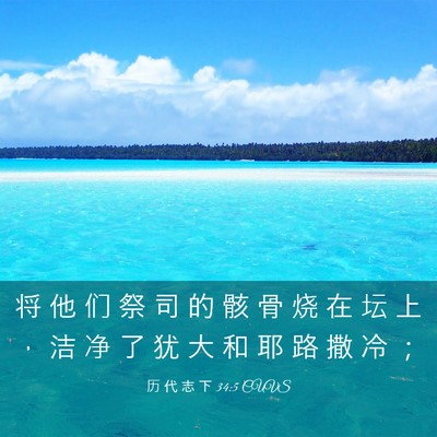 Picture 03 - 历 代 志 下 34:5 CUVS - 将 他 们 祭 司 的 骸 骨 烧 在 坛 上 - Bible Verse Picture