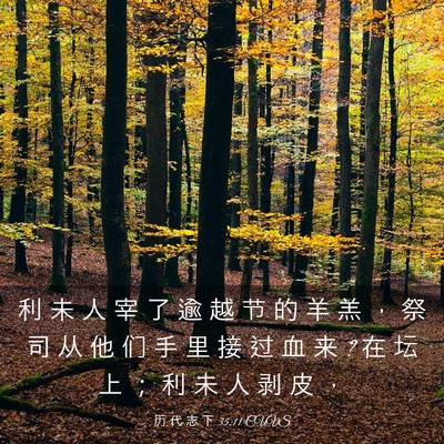 Picture 03 - 历 代 志 下 35:11 CUVS - 利 未 人 宰 了 逾 越 节 的 羊 羔 ， - Bible Verse Picture