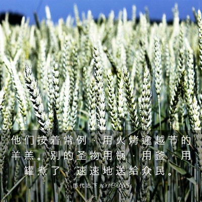 Picture 03 - 历 代 志 下 35:13 CUVS - 他 们 按 着 常 例 ， 用 火 烤 逾 越 - Bible Verse Picture