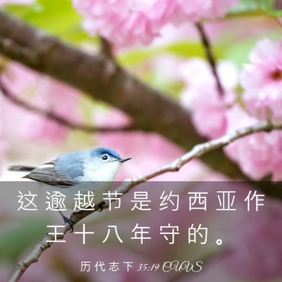 Picture 03 - 历 代 志 下 35:19 CUVS - 这 逾 越 节 是 约 西 亚 作 王 十 八 - Bible Verse Picture