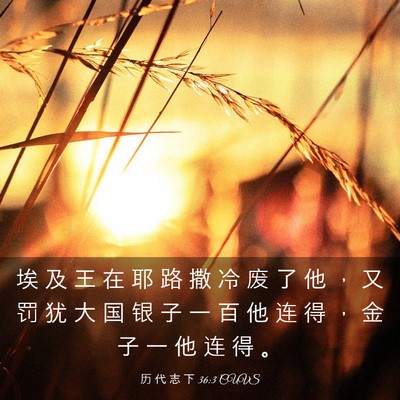 Picture 03 - 历 代 志 下 36:3 CUVS - 埃 及 王 在 耶 路 撒 冷 废 了 他 ， - Bible Verse Picture
