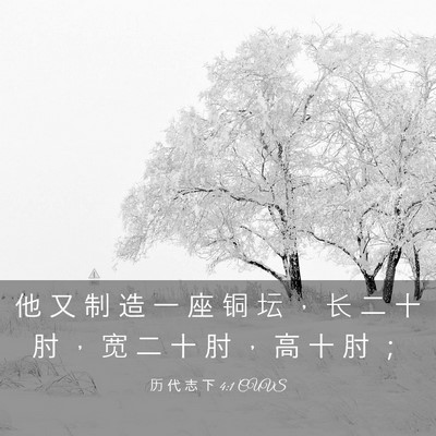 Picture 03 - 历 代 志 下 4:1 CUVS - 他 又 制 造 一 座 铜 坛 ， 长 二 十 - Bible Verse Picture