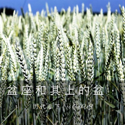 Picture 03 - 历 代 志 下 4:14 CUVS - 盆 座 和 其 上 的 盆 - Bible Verse Picture