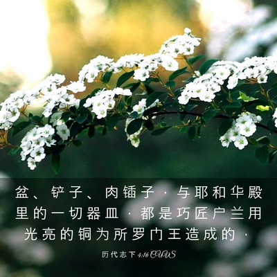 Picture 03 - 历 代 志 下 4:16 CUVS - 盆 、 铲 子 、 肉 锸 子 ， 与 耶 和 - Bible Verse Picture