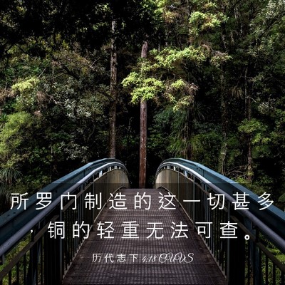 Picture 03 - 历 代 志 下 4:18 CUVS - 所 罗 门 制 造 的 这 一 切 甚 多 ， - Bible Verse Picture