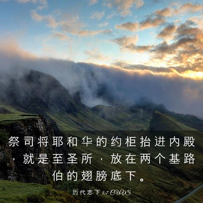 Picture 03 - 历 代 志 下 5:7 CUVS - 祭 司 将 耶 和 华 的 约 柜 抬 进 内 - Bible Verse Picture