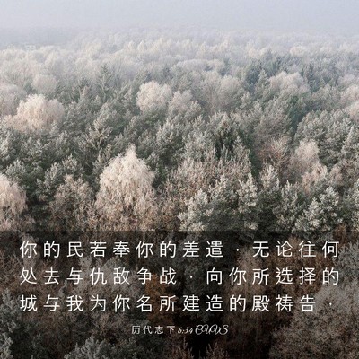 Picture 03 - 历 代 志 下 6:34 CUVS - 你 的 民 若 奉 你 的 差 遣 ， 无 论 - Bible Verse Picture