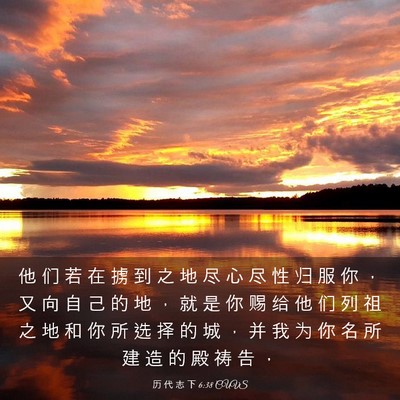 Picture 03 - 历 代 志 下 6:38 CUVS - 他 们 若 在 掳 到 之 地 尽 心 尽 性 - Bible Verse Picture