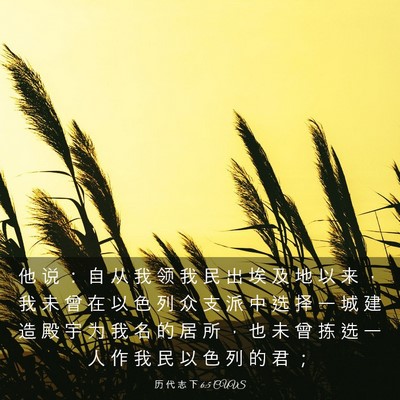 Picture 03 - 历 代 志 下 6:5 CUVS - 他 说 ： 自 从 我 领 我 民 出 埃 及 - Bible Verse Picture