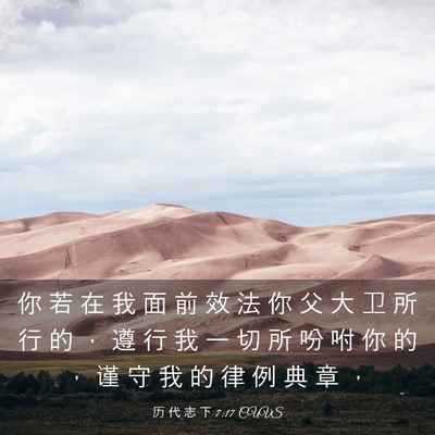Picture 03 - 历 代 志 下 7:17 CUVS - 你 若 在 我 面 前 效 法 你 父 大 卫 - Bible Verse Picture