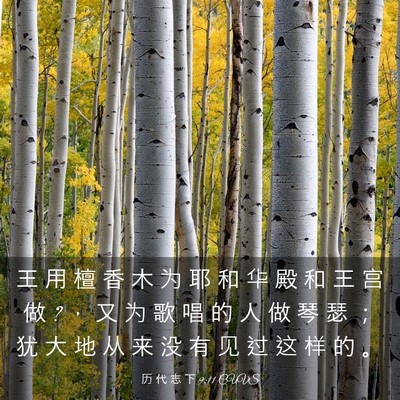 Picture 03 - 历 代 志 下 9:11 CUVS - 王 用 檀 香 木 为 耶 和 华 殿 和 王 - Bible Verse Picture