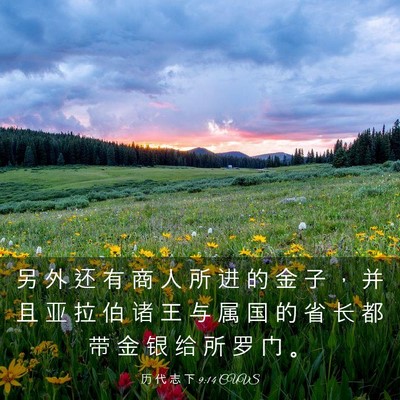Picture 03 - 历 代 志 下 9:14 CUVS - 另 外 还 有 商 人 所 进 的 金 子 ， - Bible Verse Picture