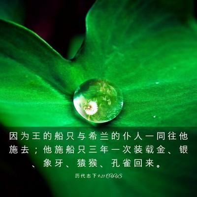 Picture 03 - 历 代 志 下 9:21 CUVS - 因 为 王 的 船 只 与 希 兰 的 仆 人 - Bible Verse Picture