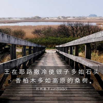 Picture 03 - 历 代 志 下 9:27 CUVS - 王 在 耶 路 撒 冷 使 银 子 多 如 石 - Bible Verse Picture