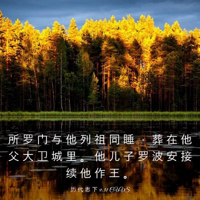 Picture 03 - 历 代 志 下 9:31 CUVS - 所 罗 门 与 他 列 祖 同 睡 ， 葬 在 - Bible Verse Picture