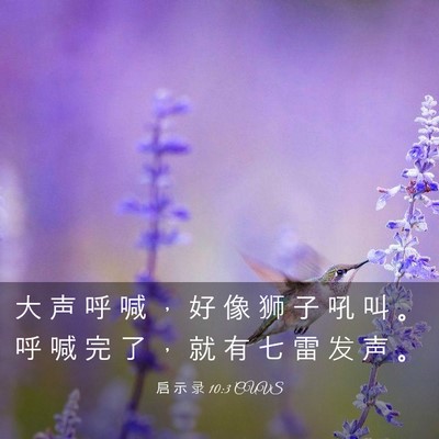 Picture 03 - 启 示 录 10:3 CUVS - 大 声 呼 喊 ， 好 像 狮 子 吼 叫 。 - Bible Verse Picture