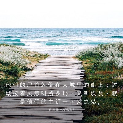 Picture 03 - 启 示 录 11:8 CUVS - 他 们 的 尸 首 就 倒 在 大 城 里 的 - Bible Verse Picture