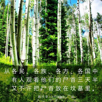 Picture 03 - 启 示 录 11:9 CUVS - 从 各 民 、 各 族 、 各 方 、 各 国 - Bible Verse Picture