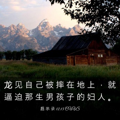 Picture 03 - 启 示 录 12:13 CUVS - 龙 见 自 己 被 摔 在 地 上 ， 就 逼 - Bible Verse Picture
