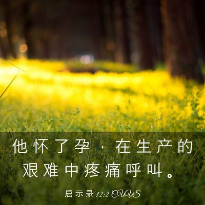 Picture 03 - 启 示 录 12:2 CUVS - 他 怀 了 孕 ， 在 生 产 的 艰 难 中 - Bible Verse Picture