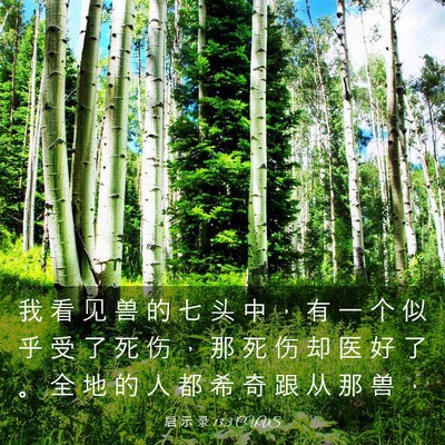 Picture 03 - 启 示 录 13:3 CUVS - 我 看 见 兽 的 七 头 中 ， 有 一 个 - Bible Verse Picture