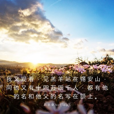 Picture 03 - 启 示 录 14:1 CUVS - 我 又 观 看 ， 见 羔 羊 站 在 锡 安 - Bible Verse Picture