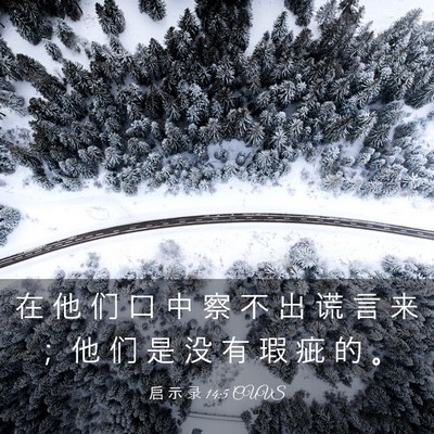 Picture 03 - 启 示 录 14:5 CUVS - 在 他 们 口 中 察 不 出 谎 言 来 ； - Bible Verse Picture