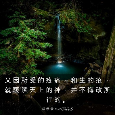 Picture 03 - 启 示 录 16:11 CUVS - 又 因 所 受 的 疼 痛 ， 和 生 的 疮 - Bible Verse Picture