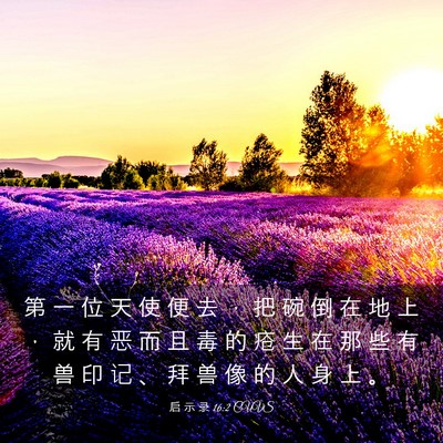 Picture 03 - 启 示 录 16:2 CUVS - 第 一 位 天 使 便 去 ， 把 碗 倒 在 - Bible Verse Picture