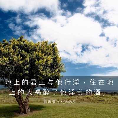 Picture 03 - 启 示 录 17:2 CUVS - 地 上 的 君 王 与 他 行 淫 ， 住 在 - Bible Verse Picture