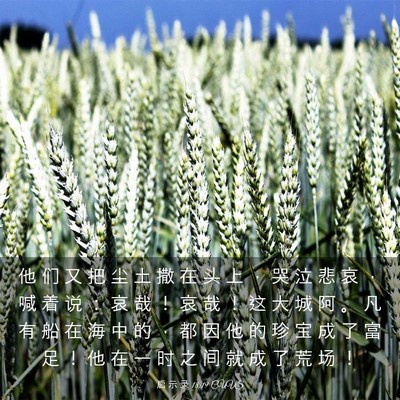 Picture 03 - 启 示 录 18:19 CUVS - 他 们 又 把 尘 土 撒 在 头 上 ， 哭 - Bible Verse Picture