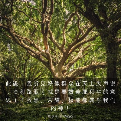 Picture 03 - 启 示 录 19:1 CUVS - 此 後 ， 我 听 见 好 像 群 众 在 天 - Bible Verse Picture