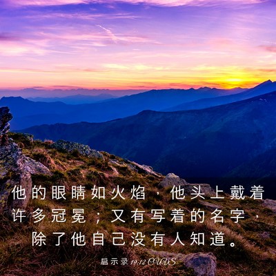 Picture 03 - 启 示 录 19:12 CUVS - 他 的 眼 睛 如 火 焰 ， 他 头 上 戴 - Bible Verse Picture