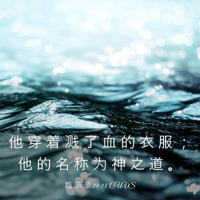 Picture 03 - 启 示 录 19:13 CUVS - 他 穿 着 溅 了 血 的 衣 服 ； 他 的 - Bible Verse Picture