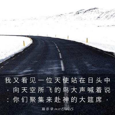 Picture 03 - 启 示 录 19:17 CUVS - 我 又 看 见 一 位 天 使 站 在 日 头 - Bible Verse Picture