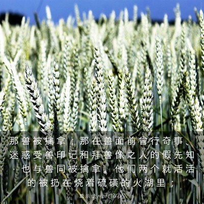 Picture 03 - 启 示 录 19:20 CUVS - 那 兽 被 擒 拿 ； 那 在 兽 面 前 曾 - Bible Verse Picture