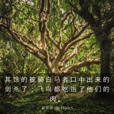 Picture 03 - 启 示 录 19:21 CUVS - 其 馀 的 被 骑 白 马 者 口 中 出 来 - Bible Verse Picture
